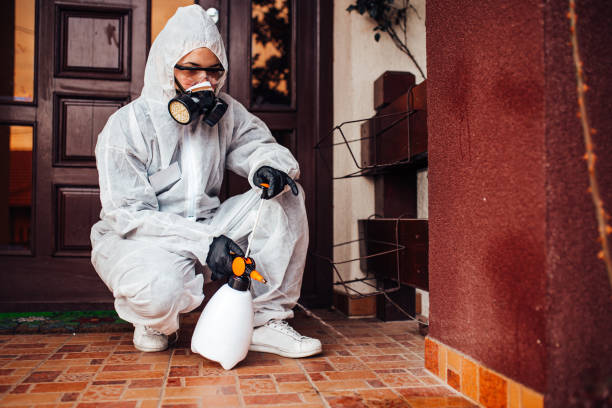 Reliable Wasp Removal contractor in Millcreek, UT by Show Me Pest Control